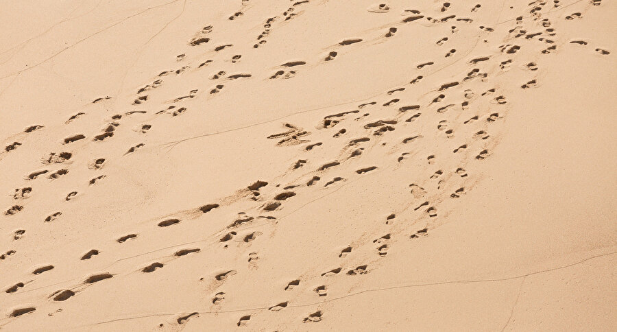 Kral Dingane’nin parolasının bugün hala geçerli olmadığını kim söyleyebilir ki; sihirbazları yakala!