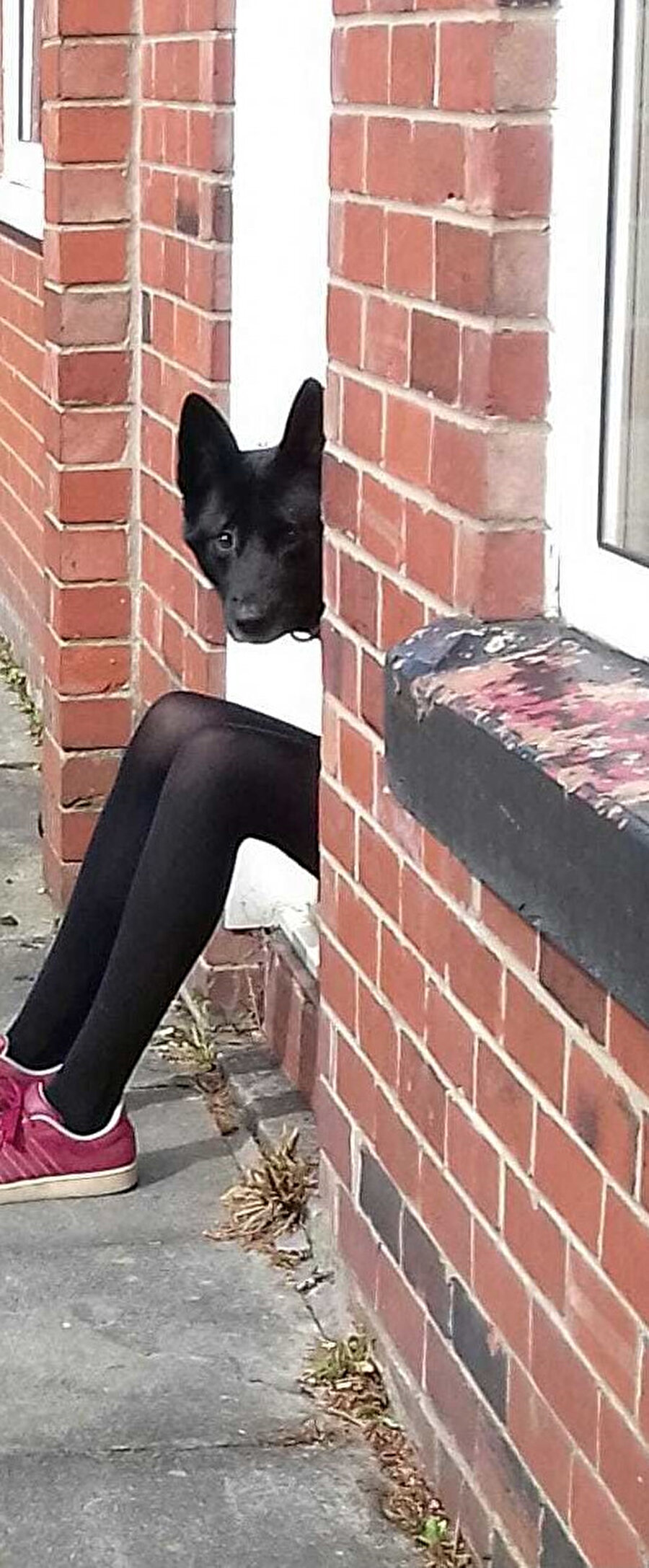 Hayırdır gardaş sıkıntı mı var​