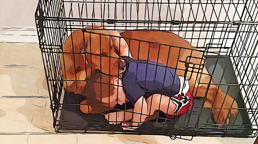 ​Gerçek dostluğu en güzel anlatan fotoğraflar