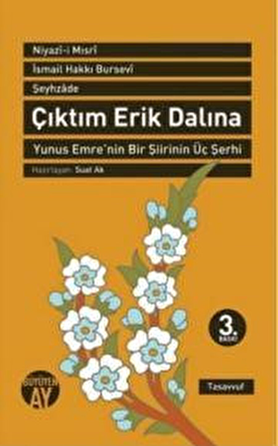 Bu 13 beyitlik şiire üç şarih de farklı cihetlerden yaklaşmasına rağmen benzer sonuçlara ulaşıyorlar.