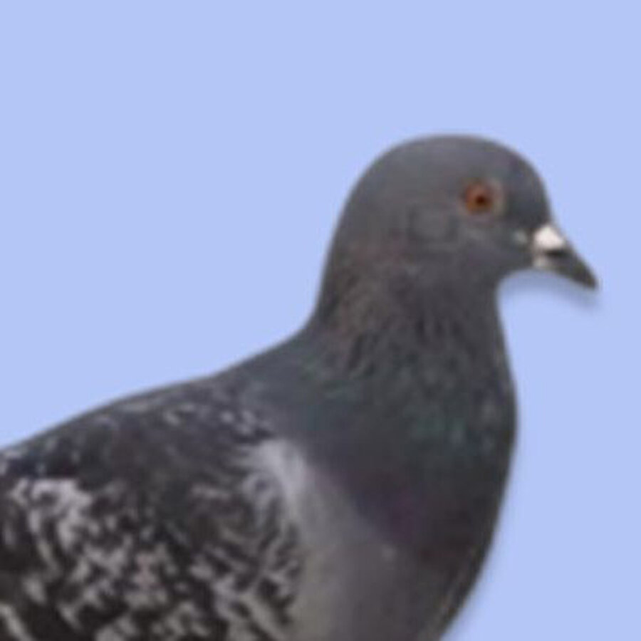 Sizi yıpratan insanlardan sessizce uzaklaşın