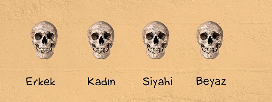 Sınavlar başladı ✅ İnsanlıktan çıkıldı ✅