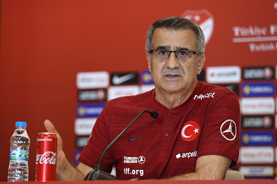 Milli Takım Teknik Direktörü Şenol Güneş.