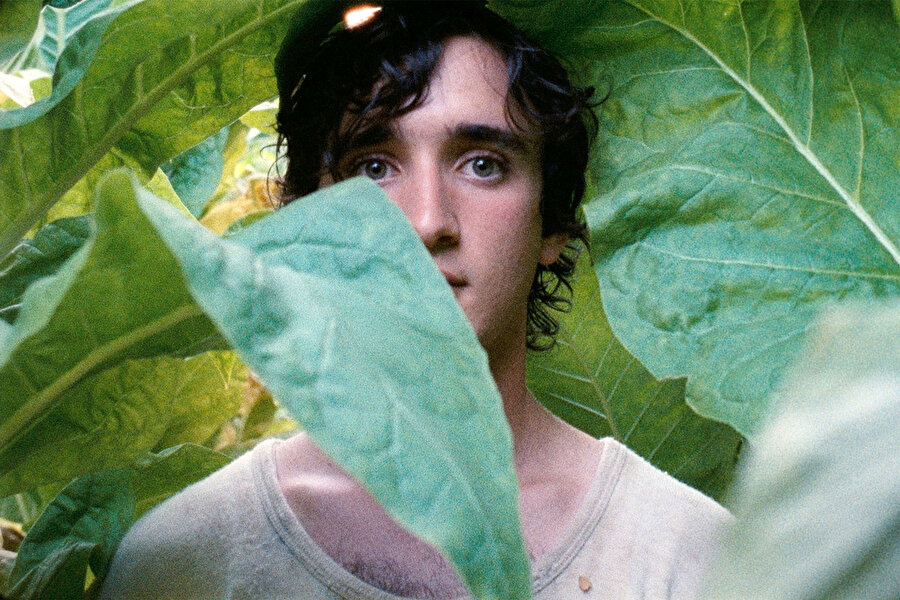 Bizimkisi bir büyü bozumu hikayesi: Lazzaro Felice​