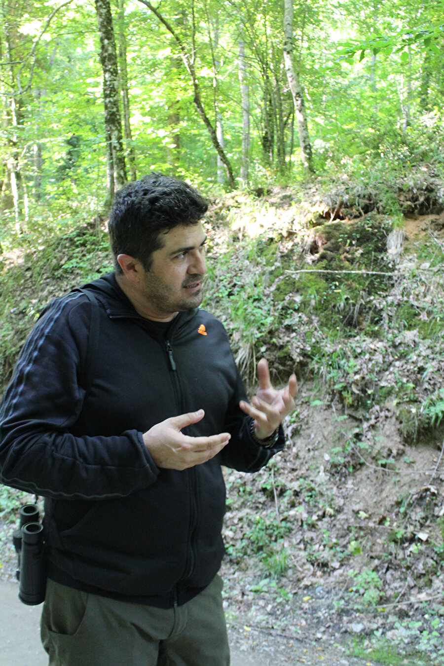 Özmen Yeltekin