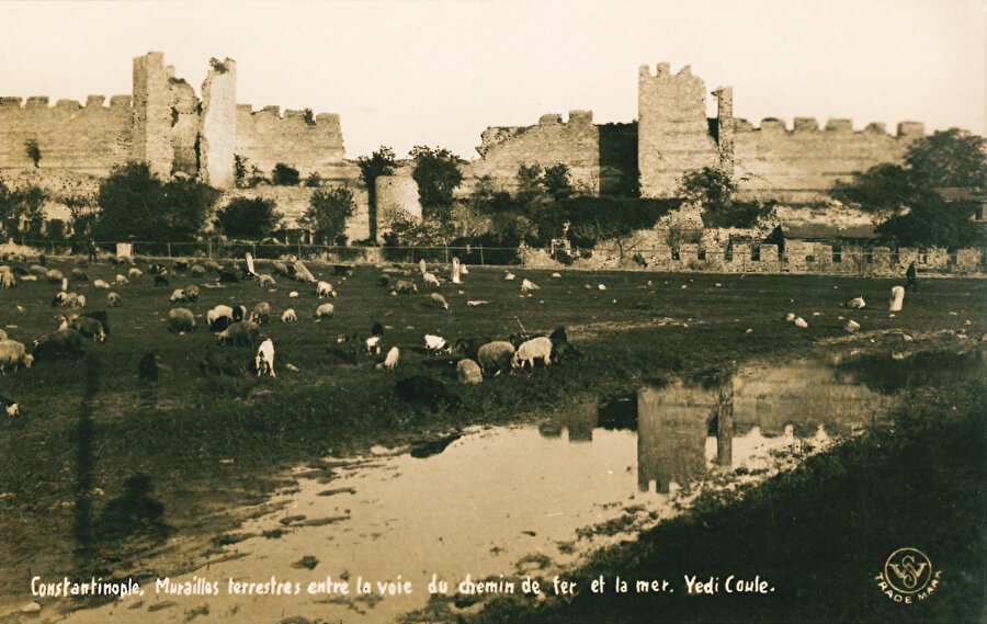 Eski İstanbul kartpostallarında koyunlar