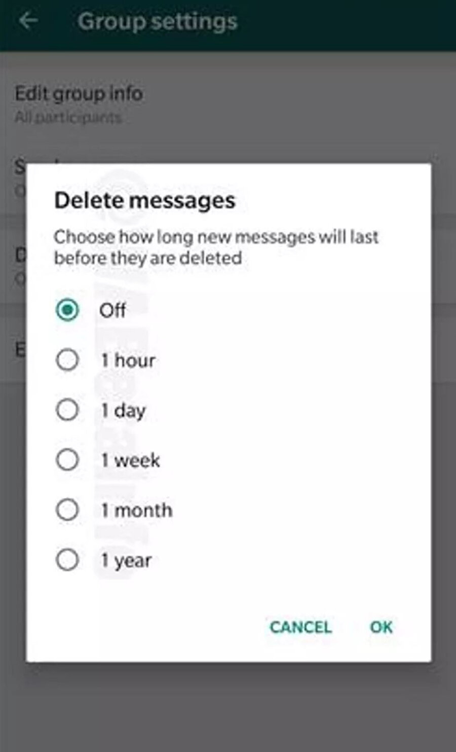 WhatsApp'ta silinen mesajlarda 6 farklı seçenek sunuluyor. 