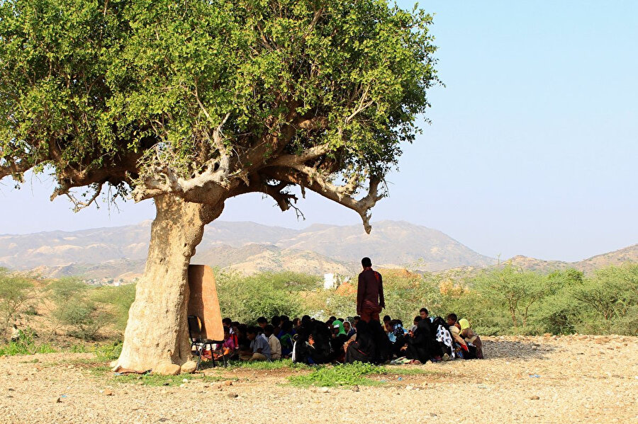 28 Ekim 2018’de çekilen bu fotoğrafta yerlerinden edilmiş öğrenciler, Yemen’in kuzeybatısındaki Hacca ilindeki Abs bölgesinin kuzeyindeki bir ağacın altında açık alanda ders işliyorlar.