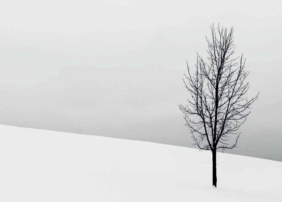 Ve arada bir yerlerde kişinin kendisini, unutmak istediklerini unutamamış ve unutmak istemediklerini unutmuş bir hâlde bulması. Kaybetmesi...