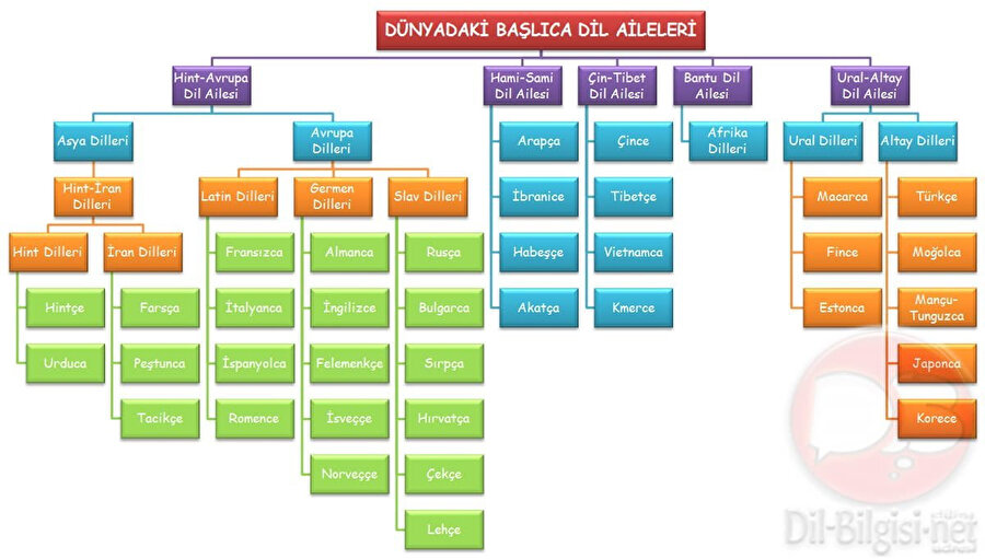 Altay dil ailesine ait Türk Dilleri...