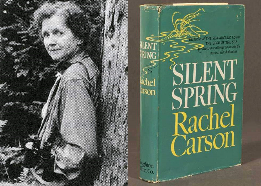Yazar Rachel Carson'ın Sessiz Çığlık kitabında şu ifadeler yer alıyor: Amerika’da yetişen tütünden yapılan sigaralardaki arsenik içeriği 1932 ile 1940 arasında yüzde 300’den fazla artmıştır.