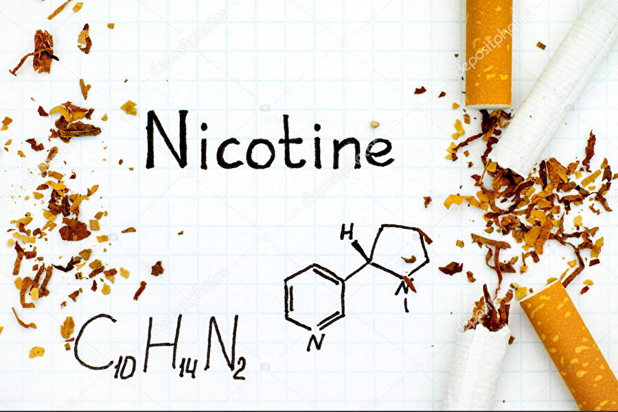  Fransa’nın Lizbon elçisi Jean Nicot, ülkesi Fransa'ya tütün tohumu yolluyor ve rapor hazırlıyor, kendisine itafen "Nicotine" denmiştir...