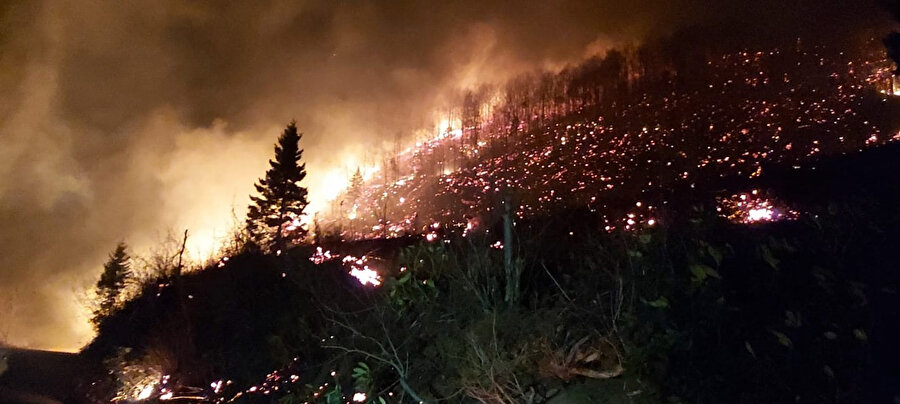 Karadeniz'de akşam saatlerinde 26 farklı noktada orman yangını çıktı -DHA