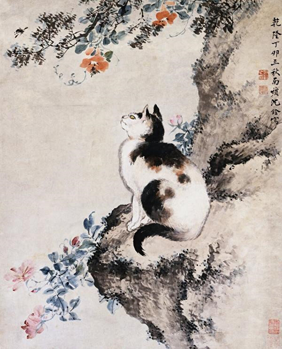 Çin’de Tanrıça Li Shou kedi biçiminde tasvir edilmiştir. Bir Çin efsanesine göre, tanrılar kedilere yeni yaratıkların işleyişlerini denetlemeleri ve onlarla iletişim kurabilmeleri için konuşma yetisi vermişlerdir. 
