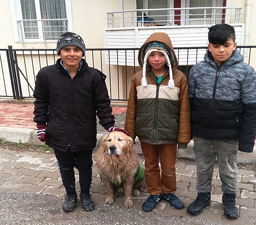 Sokak köpeğine tişört giydiren çocuklar hatıra fotoğrafı çektirdi. 