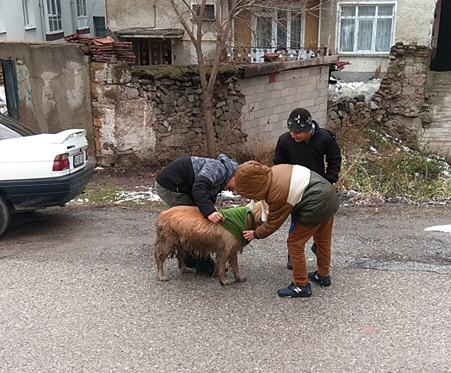 Yozgat'ta üç arkadaş, sokak köpeğine tişört giydirirken görüntülendi. 