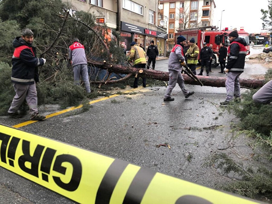 İstanbul Ümraniye'de şiddetli rüzgar nedeniyle ağaç devrildi.
