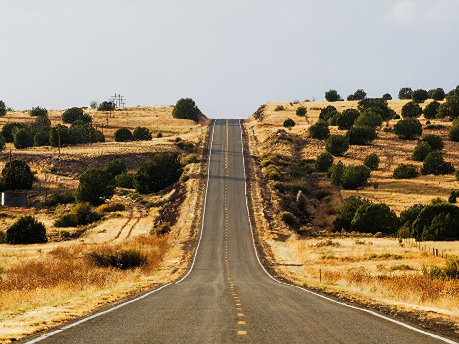 Dört sene önce üniversiteyi birlikte okumuş altı arkadaş, Kuzey Amerika’da bir araba kiralayarak kıtayı enlemesine kesen uzun bir “road trip”e çıkmıştık. Sabahtan akşama gülüştüğümüz, gençliğin rüzgârlarının bir sarhoşluk iksiri gibi gündüz düşlerine karıştığı, âdeta zamanı durduran bir yolculuktu.