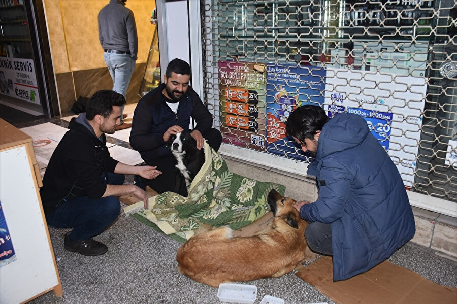 Üşüyen köpekleri ısıtıp karınlarını doyurdular.