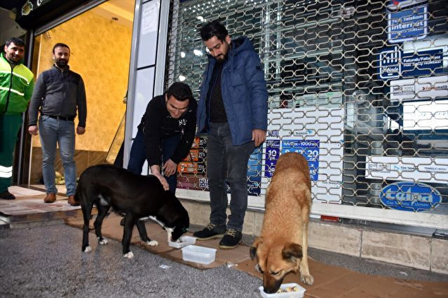 Adıyaman esnafı sokak köpeklerine yemek de verdi. 