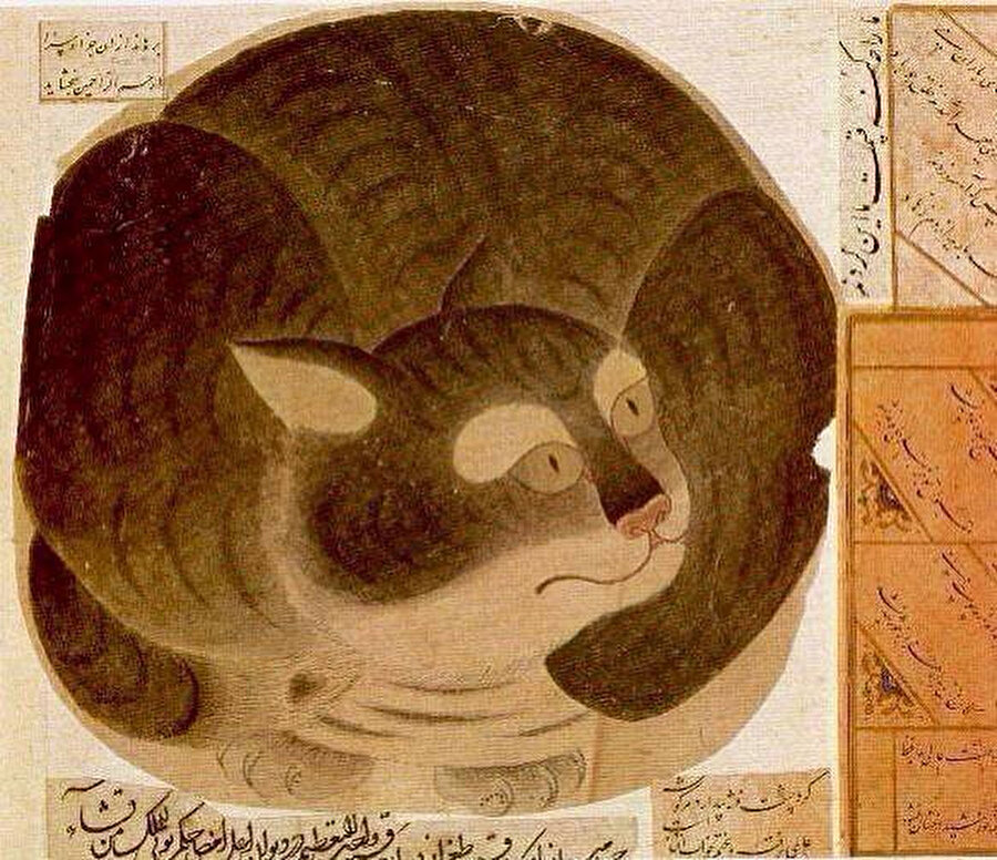 Pisili Sultan lakabıyla anılan Pir Esad ile sevgili pisisi bugün aynı türbede istirahat etmektedirler. 