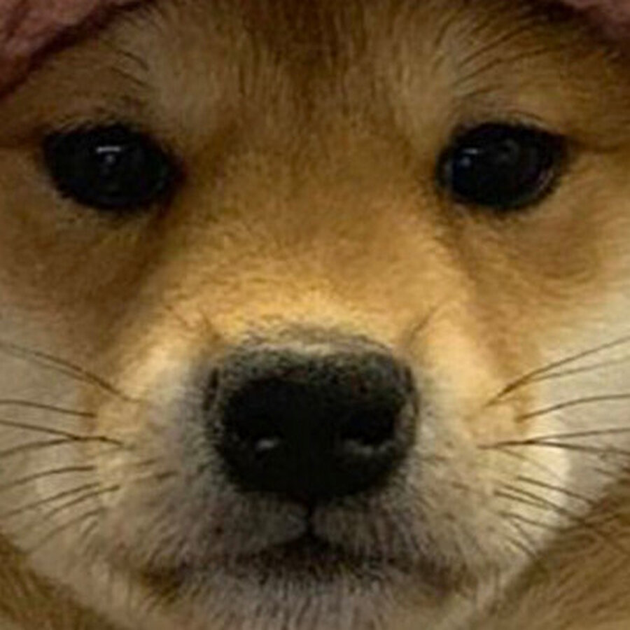 Havalar soğudu. Bere yakışmasa da mecbur takacağız