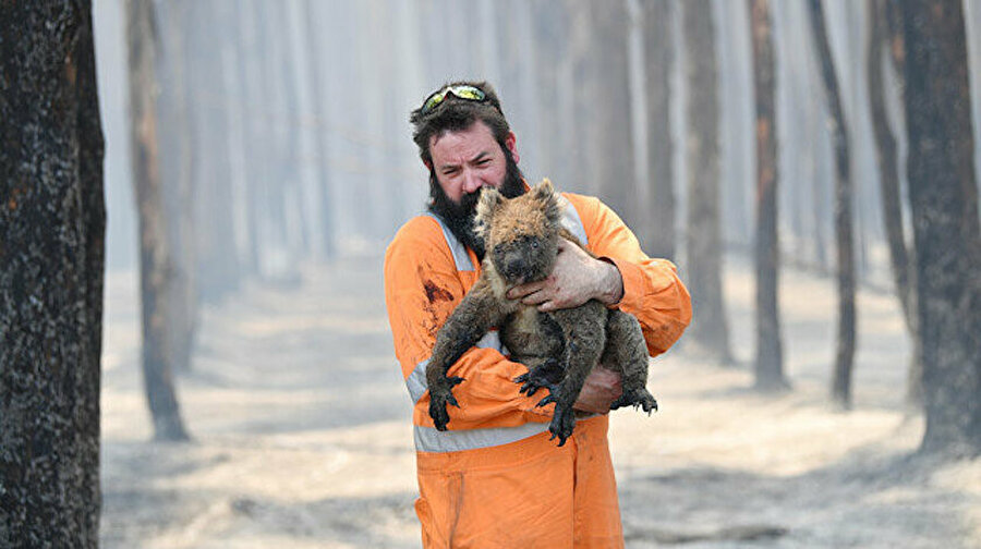 Ülke genelindeki yangınlarda, eylülden bu yana 480 milyon civarında hayvanın telef olduğu tahmin ediliyor. 