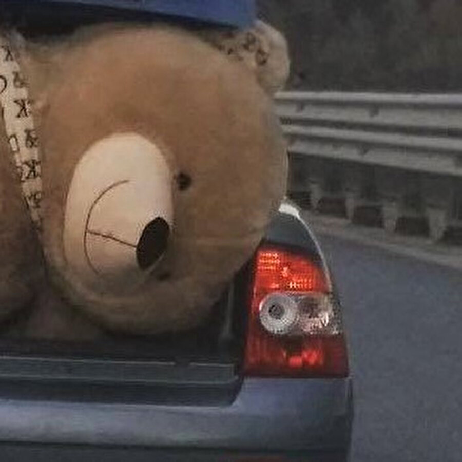 Kim bilir ne halt yedi?