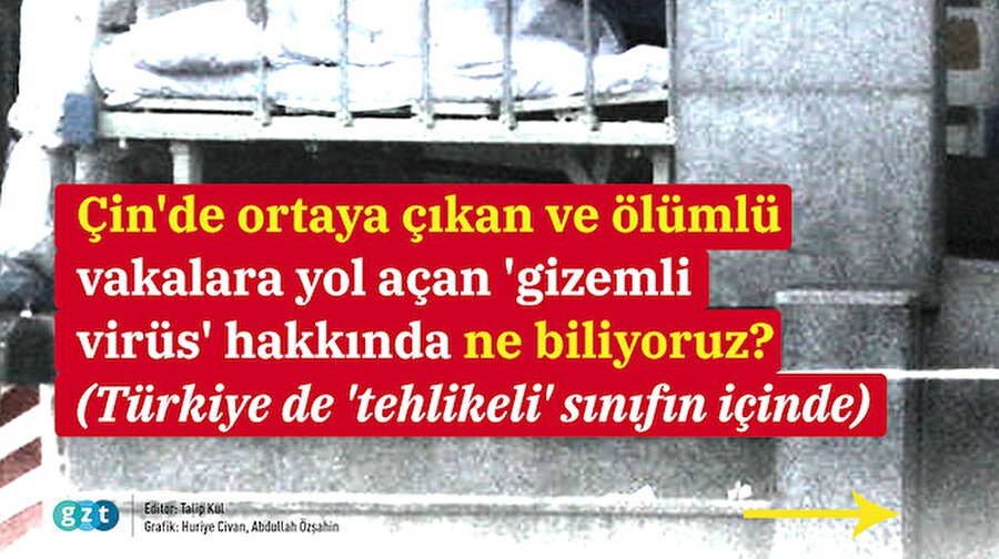 Çin'deki virüs nasıl ortaya çıktı?