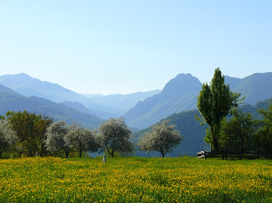 Bin bir güzelliği doğasında barındıran turizm cenneti.