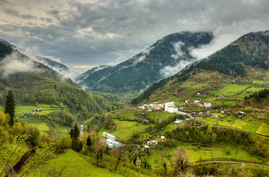 Macahel Yaylaları: Artvin