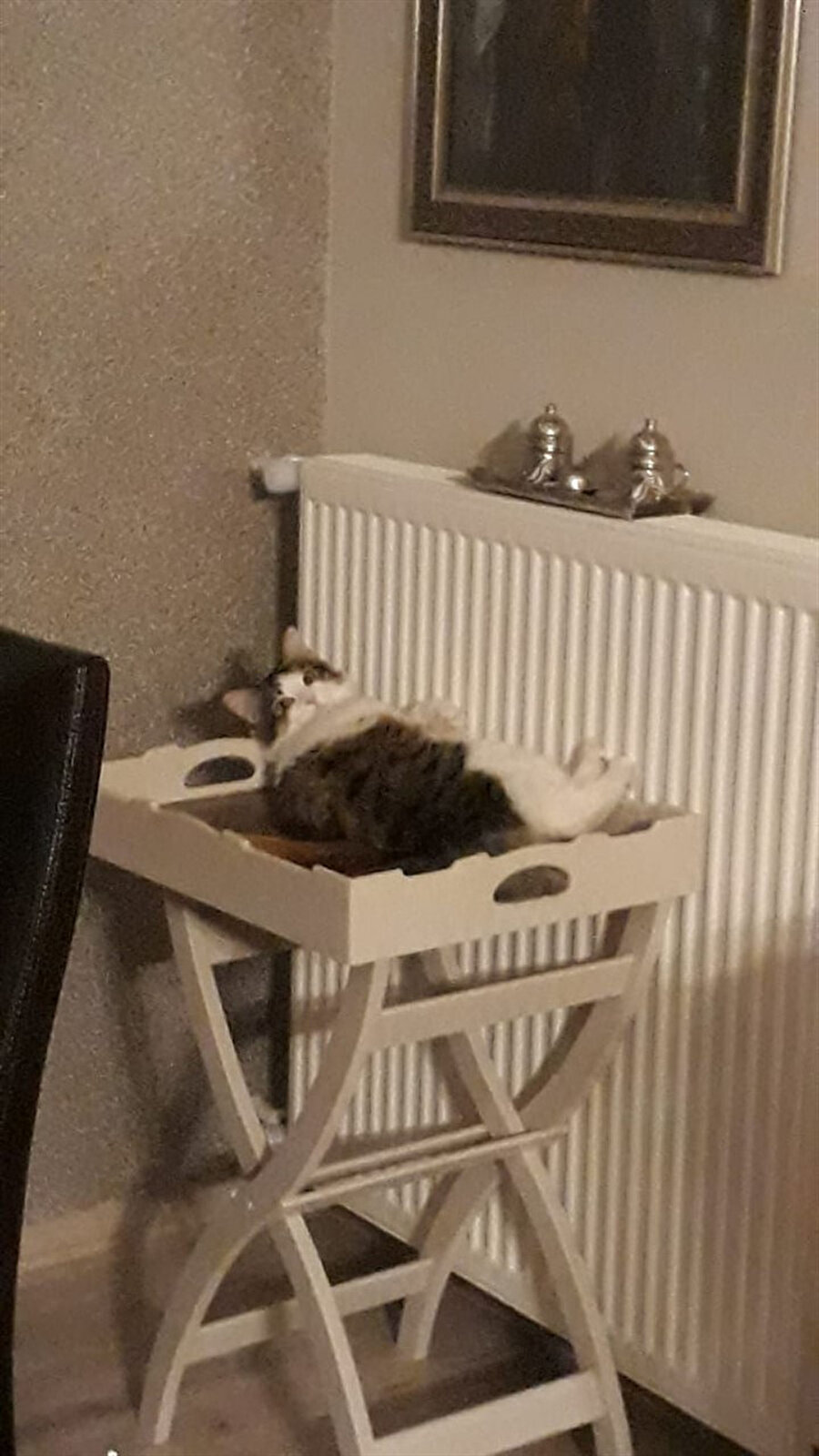 Kardeşim ne bu tantana?