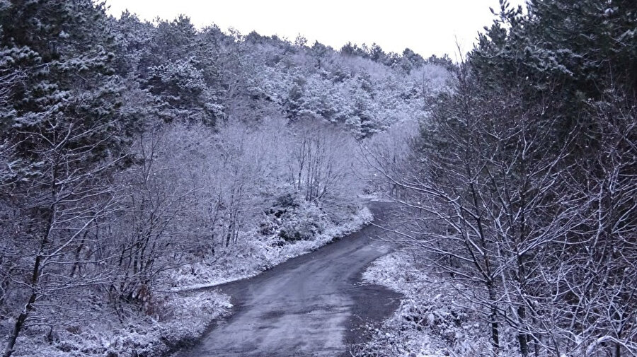 Aydos Ormanı’nda da gece yağan kar nedeniyle ağaçlar ve yollar beyaza büründü