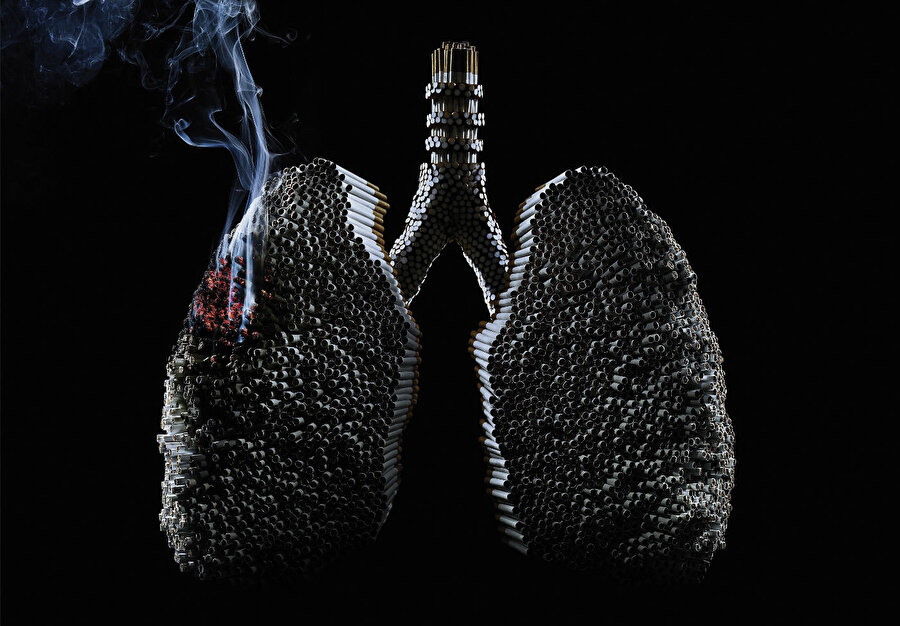 Sigara akciğer hastalıkları başta olmak üzere birçok hastalığa sebep oluyor