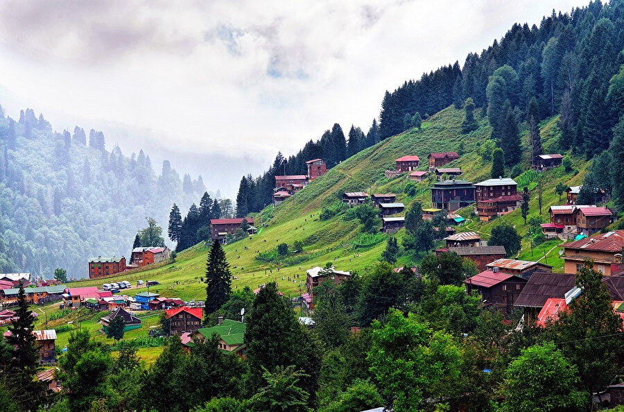 Kaçkar Dağları Milli Parkı içerisinde 9 köy ve otuzdan fazla yayla yerleşimi bulunuyor.