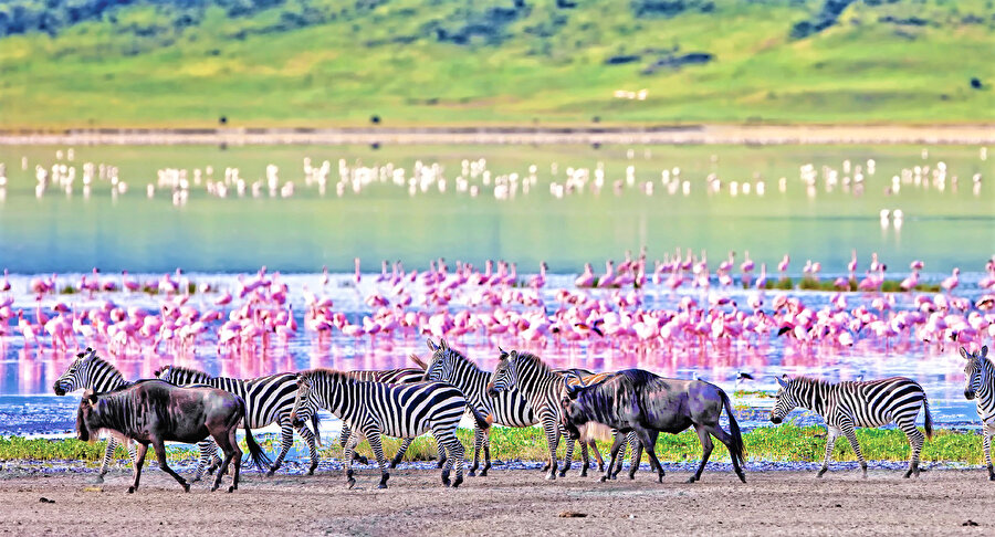 Tanzanya Unesco’nun korunması altında el değmemiş doğal parkına sahip, görebileceğiniz en güzel ülkelerden biri...