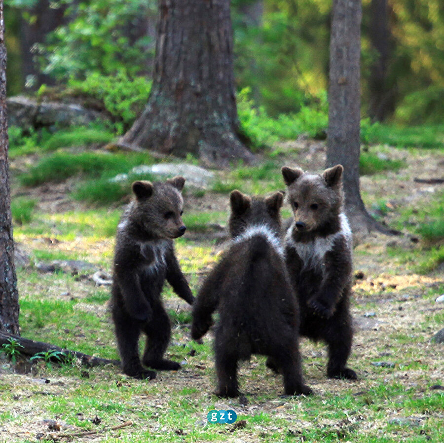 Oyun zamanı 😁🧸