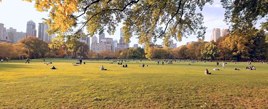 Central Park, Amerika Birleşik Devletleri'nin New York şehri Manhattan ilçesinde yer alan 3382 dönüm olarak çok büyük umumi kentsel bir parktır.
