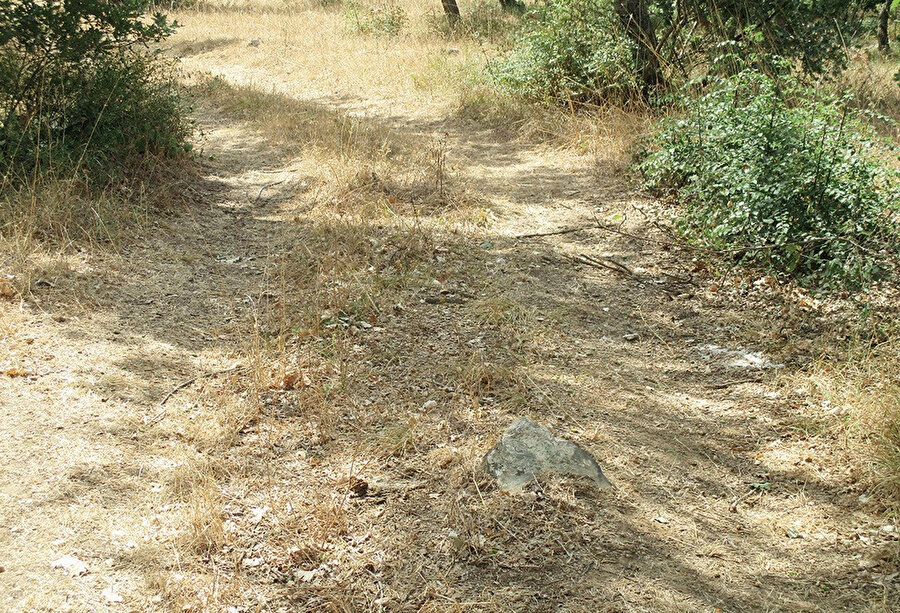 Şehitliğin görmezden gelindiği traktör yolu...
