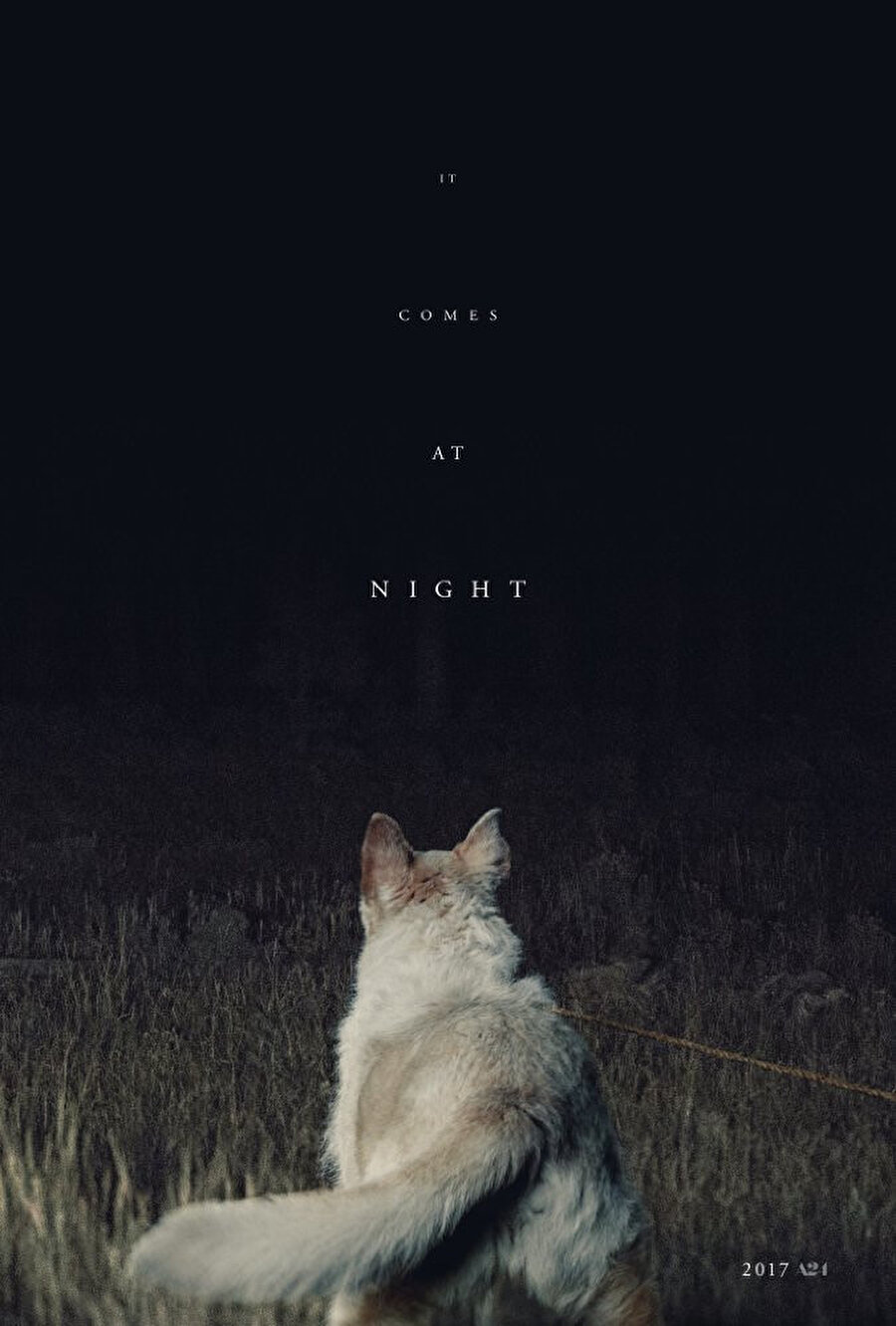 Gece Gelen (It Comes at Night, 2017), sadece türün kemik izleyici kitlesinin değil her kesimden sinemaseverin ilgisini çekebilecek bir yapım. İ