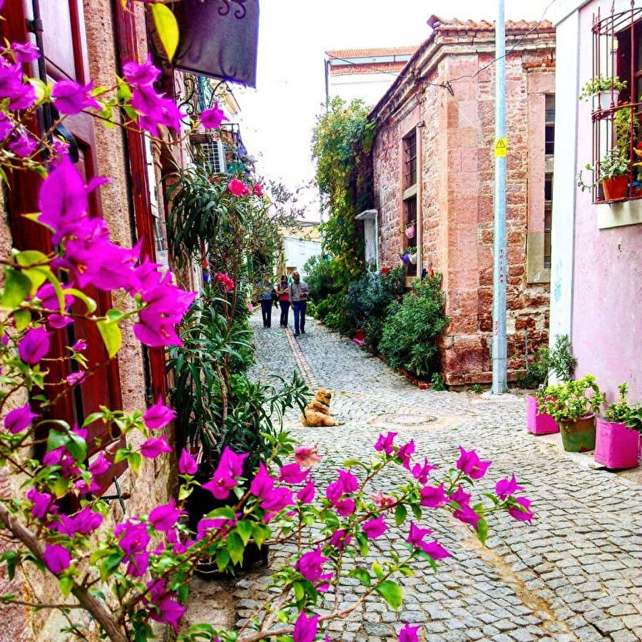 Mor salkımlı kahvelerde zamanı durdurduk.