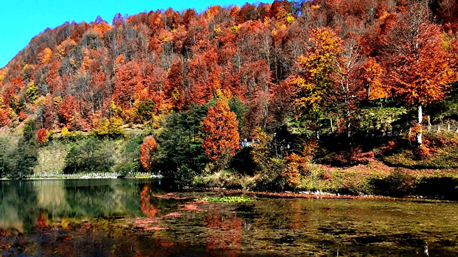 Asla boşuna ve hüzünle geçirilemeyecek bir mevsim bu sonbahar…