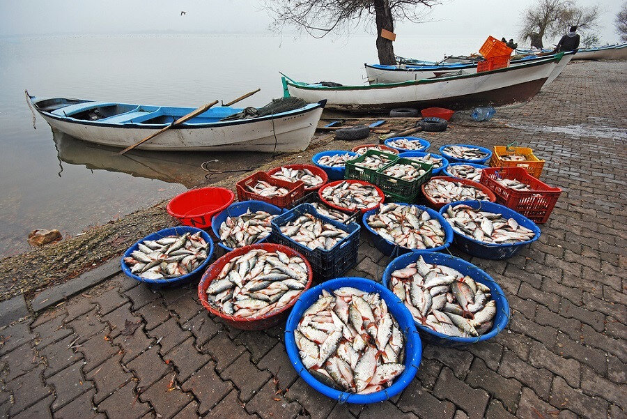 Göl balığının tadı ise ayrı bir lezzet...