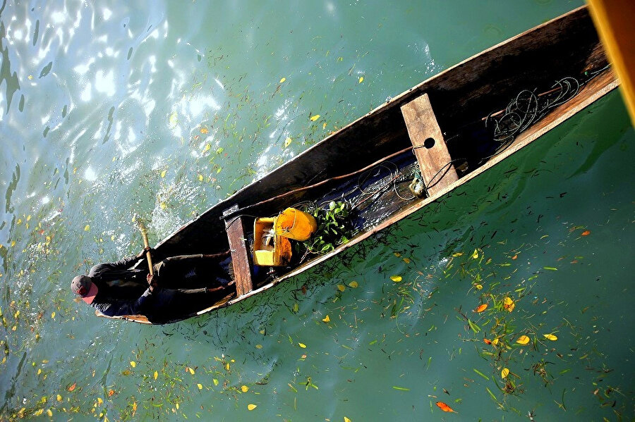 Büyülü ada, Zanzibar
