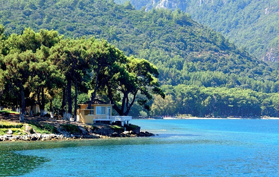 Deniz-kum-güneş üçlüsünden geçip yavaşlığın en doğal haline, bir ormanın içine bırakın kendinizi. 