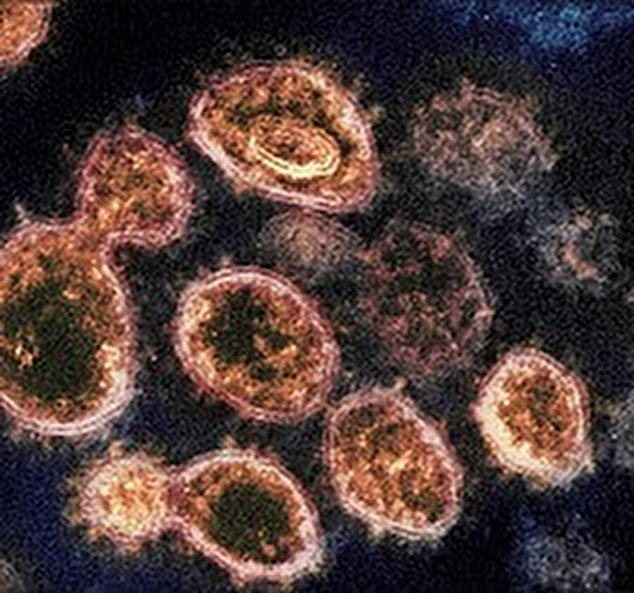 Coronavirüs hızlı bir şekilde yayılmaya devam ederken Çin'e seyahat eden Steve Wozniak'ın bu korkusu gayet normal.