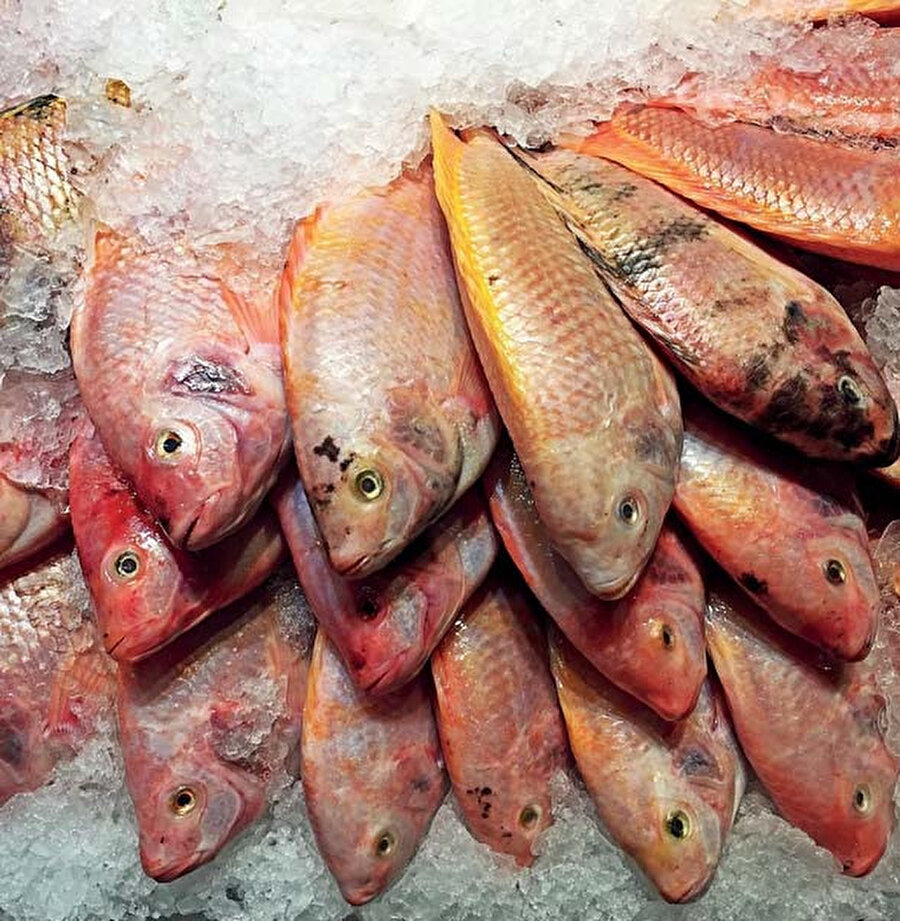 Kızıldeniz'in kızıl balıkları.
