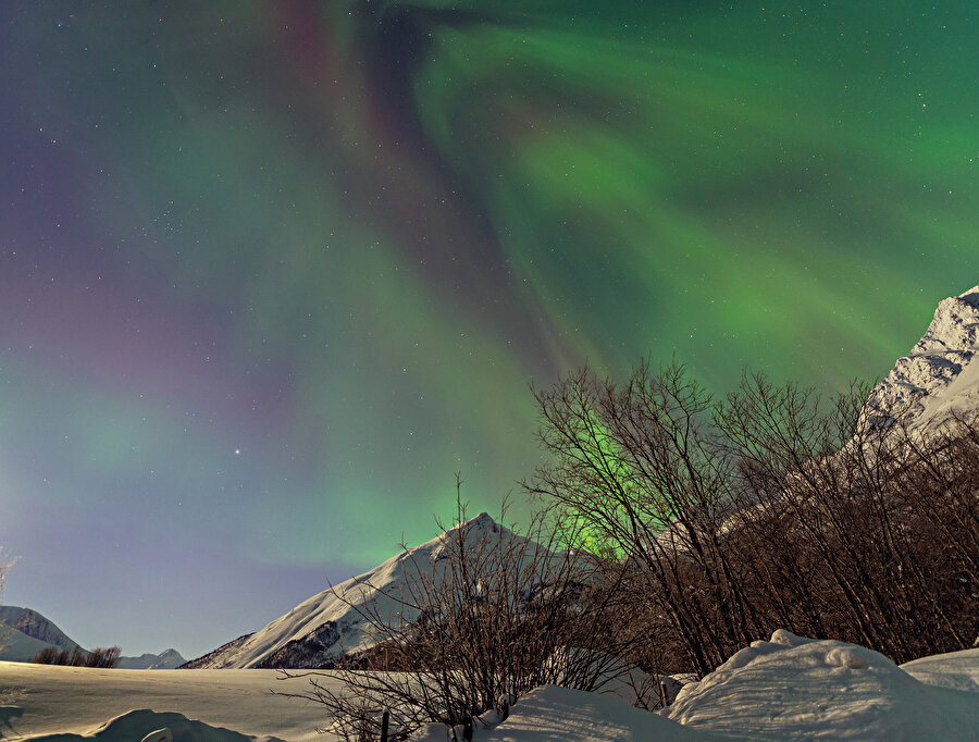 Tromso'da Kuzey Işıkları şöleni.