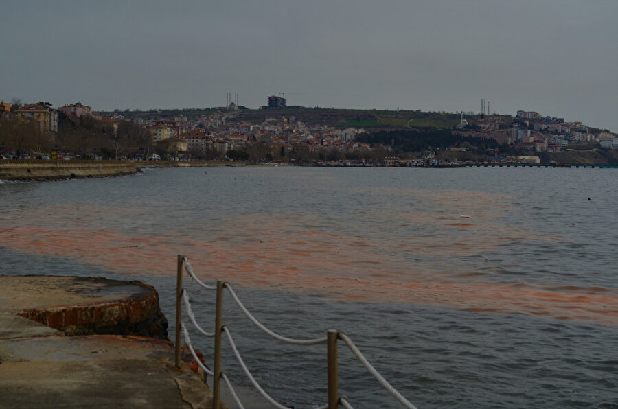 Süleymanpaşa ilçesinde turuncuya boyanan deniz