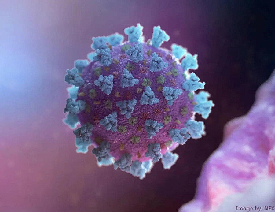 Coronavirüs etkisi İtalya ve İran'da da artmaya devam ediyor.